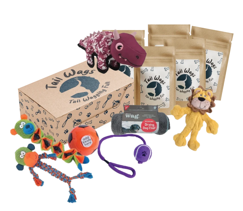 Tail Wagging Fun Box